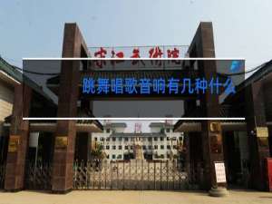 跳舞唱歌音响有几种什么价格