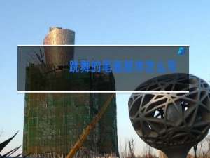 跳舞的笔画顺序怎么写