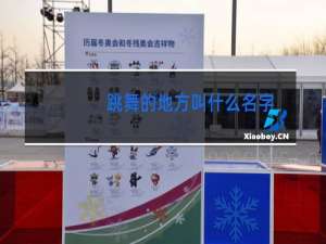 跳舞的地方叫什么名字