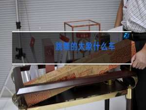 跳舞的大象什么车