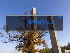 跳舞的叫什么凡