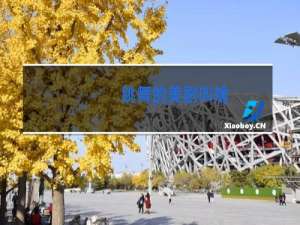 跳舞的美剧叫啥