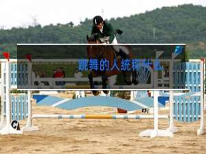 跳舞的人统称什么