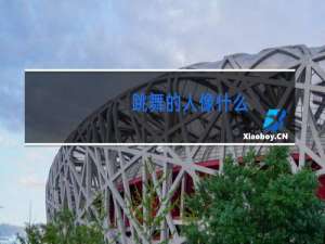 跳舞的人像什么