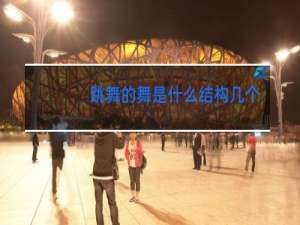 跳舞的舞是什么结构几个一