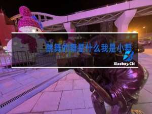 跳舞的舞是什么我是小舞跳舞的舞