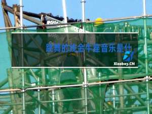 跳舞的线金牛座音乐是什么