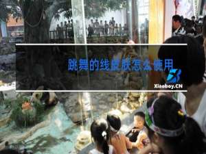 跳舞的线皮肤怎么使用