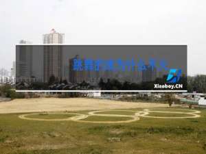 跳舞的线为什么不火