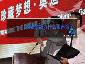 跳舞的线为什么没声音了