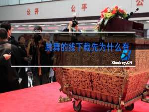 跳舞的线下载先为什么有些线不能下载原名