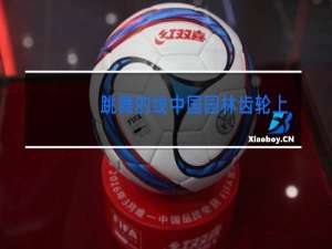 跳舞的线中国园林齿轮上的钻石怎么过