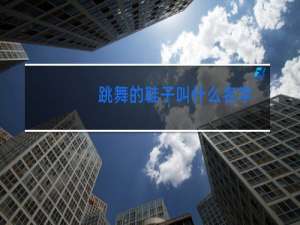 跳舞的鞋子叫什么名字