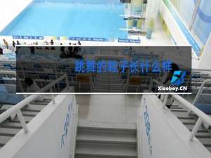 跳舞的鞋子长什么样