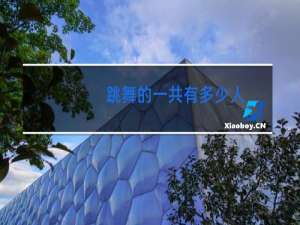 跳舞的一共有多少人