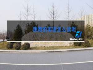 跳舞的英语怎么读呢