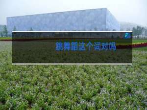 跳舞蹈这个词对吗