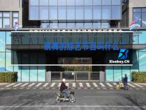 跳舞的综艺节目叫什么二次元