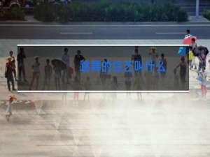 跳舞的综艺叫什么