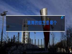 跳舞的综艺是哪个