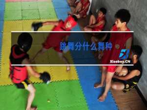 跳舞分什么舞种