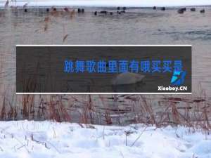 跳舞歌曲里面有哦买买是啥歌