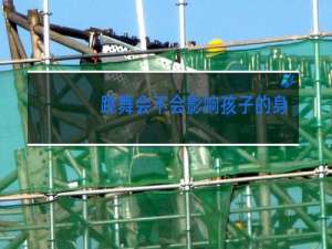 跳舞会不会影响孩子的身高