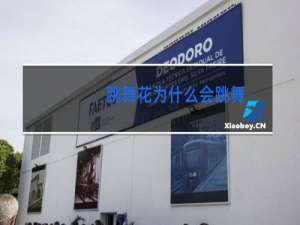 跳舞花为什么会跳舞