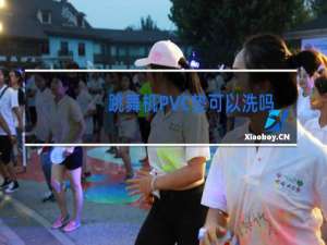 跳舞机PVC垫可以洗吗