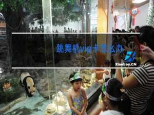 跳舞机vip卡怎么办