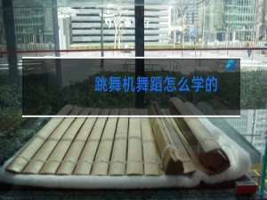 跳舞机舞蹈怎么学的