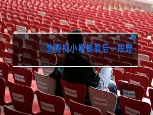 跳舞机小蜜蜂最后一段是什么歌