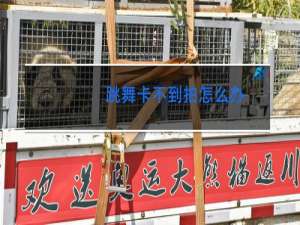 跳舞卡不到拍怎么办