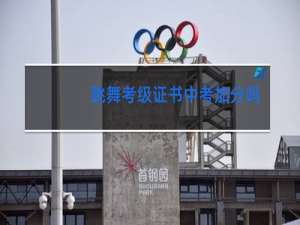 跳舞考级证书中考加分吗