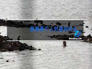 跳舞两个人对战叫什么