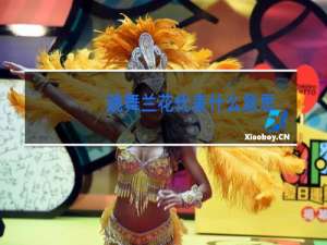 跳舞兰花代表什么意思