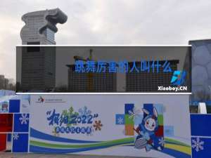 跳舞厉害的人叫什么