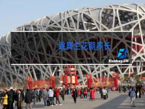 跳舞兰花期多长