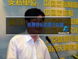 跳舞领头的那个叫啥