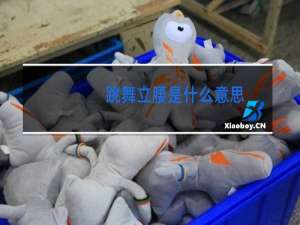 跳舞立腰是什么意思