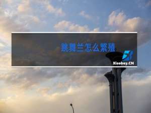 跳舞兰怎么繁殖