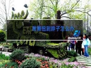 跳舞扭到脖子怎么办