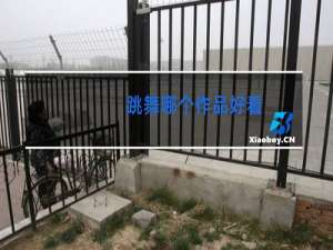 跳舞哪个作品好看