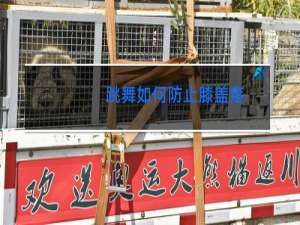 跳舞如何防止膝盖疼