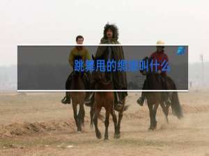 跳舞甩的绸缎叫什么