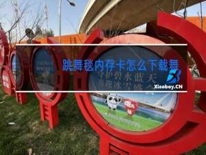 跳舞毯内存卡怎么下载舞蹈