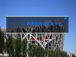 跳舞毯跑步的叫什么