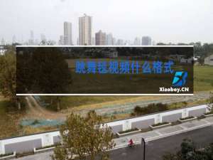 跳舞毯视频什么格式