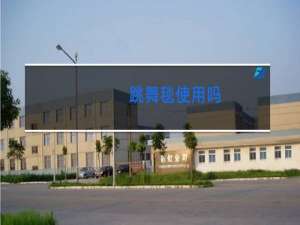 跳舞毯使用吗