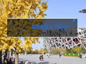 跳舞毯怎么下载mv